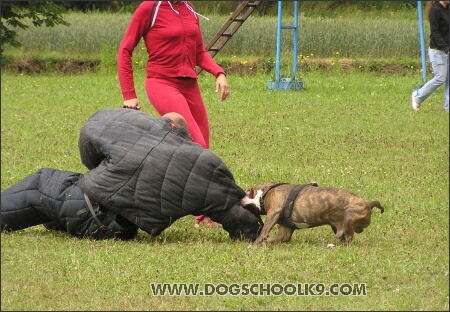 Training camp - Lukova 2007